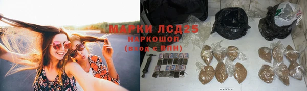 шишки Аксай