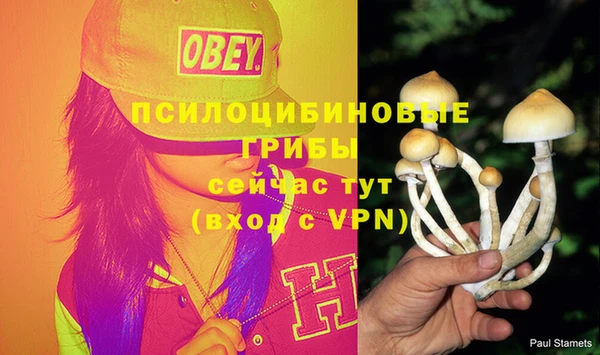 мдпв Кулебаки