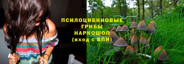 прущие крисы Ладушкин