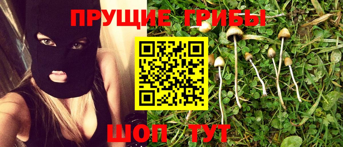 Псилоцибиновые грибы GOLDEN TEACHER Медногорск