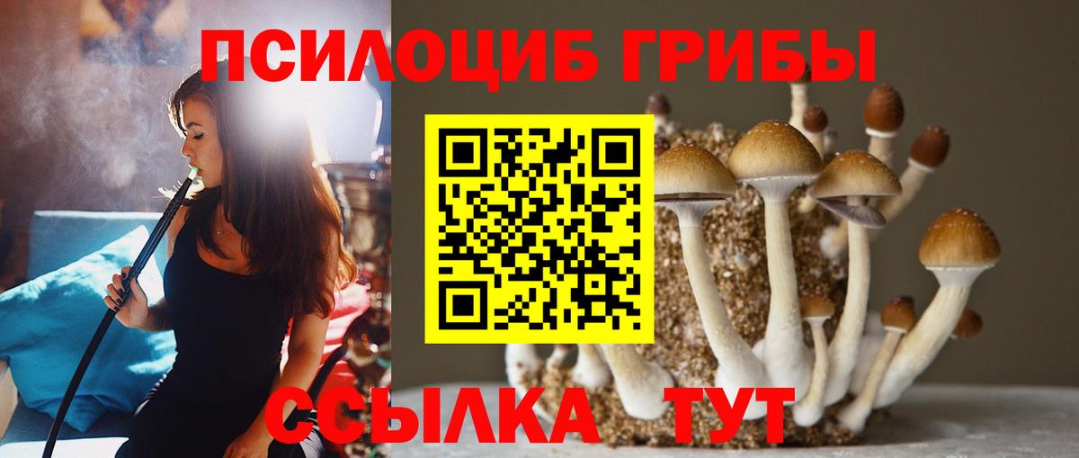 наркотики  Галлюциногенные грибы прущие грибы  Вход с VPN  Медногорск  Псилоцибиновые грибы Psilocybe 