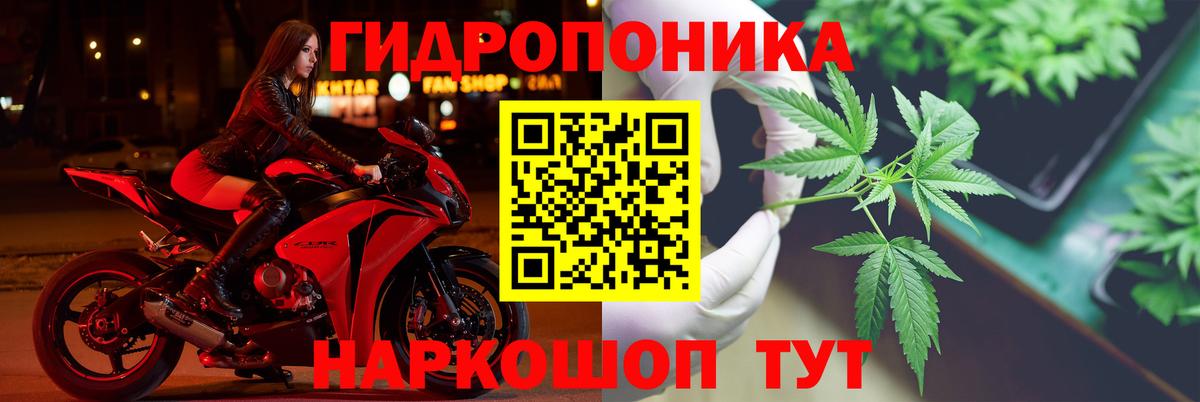 Шишки марихуана Bruce Banner  Вход с VPN  Медногорск  Бошки марихуана марихуана 